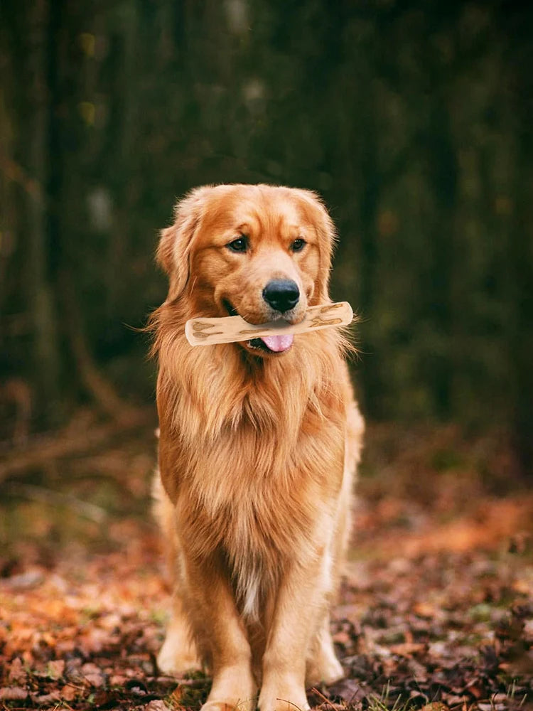 Organic Dog Dental Chew Stick