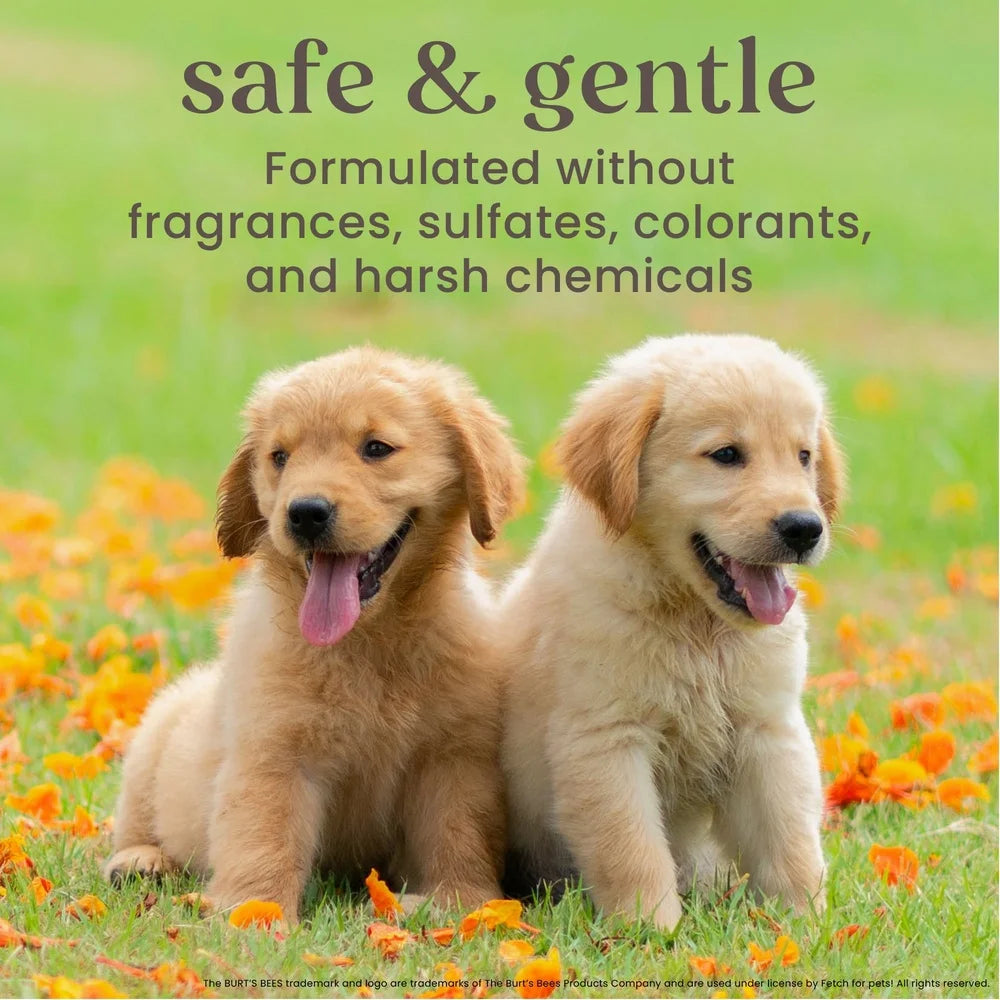 Natural Dog Shampoo and Conditioner