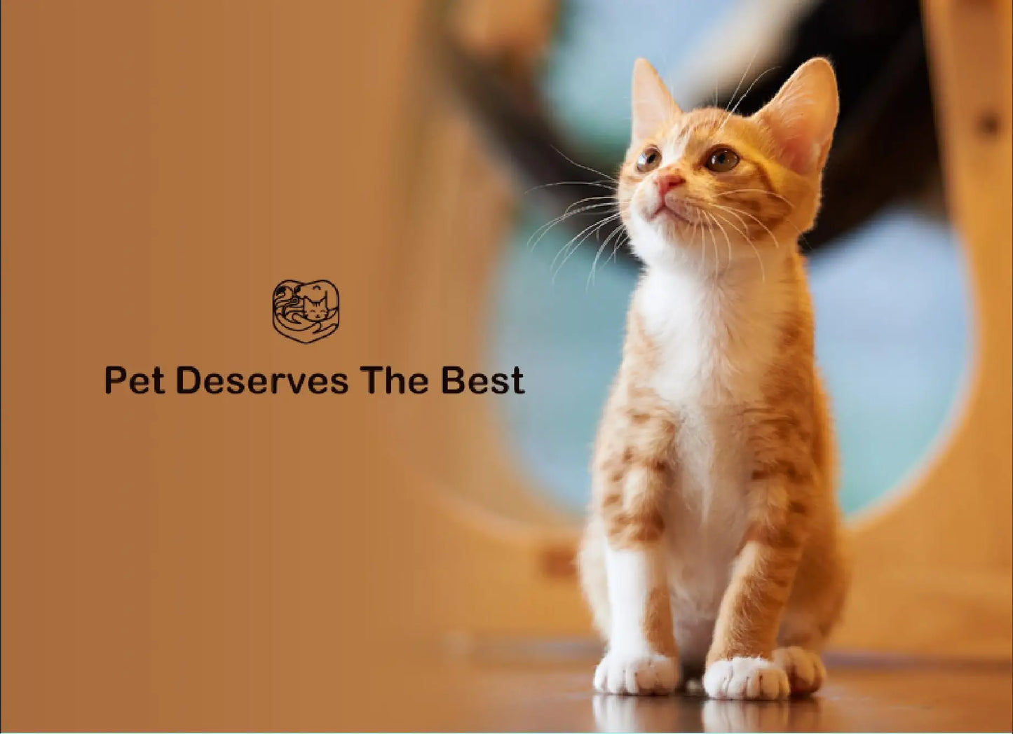 Dog and Cat Shampoo Natural Organic