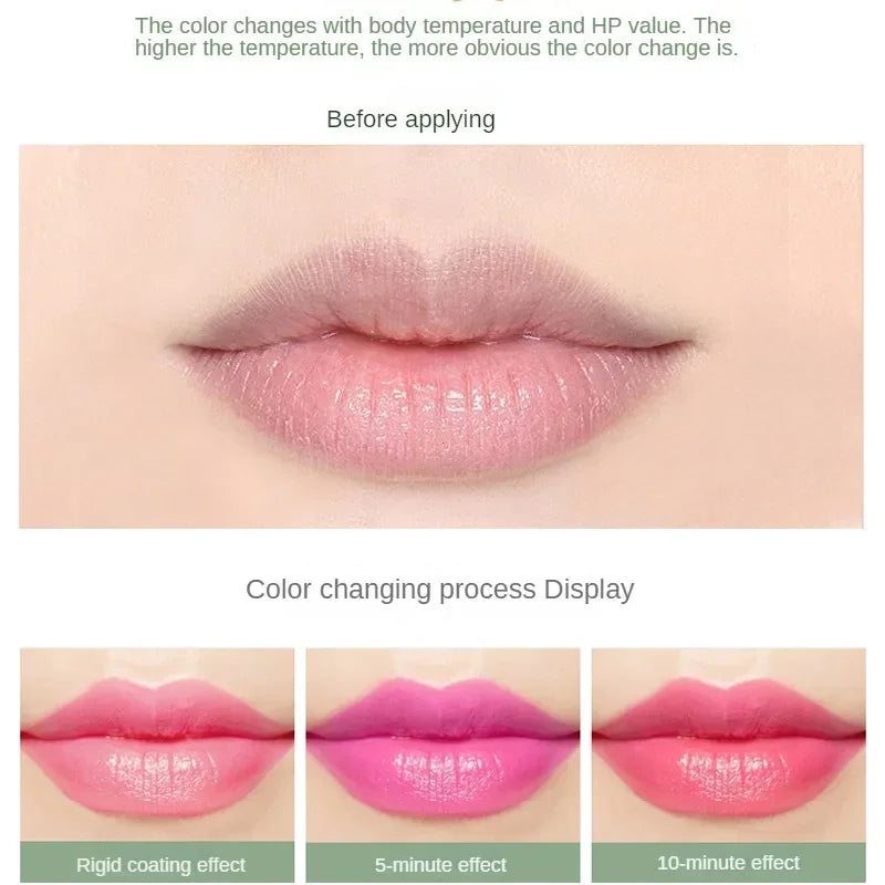 Long-Lasting Moisturizing Aloe Lipstick