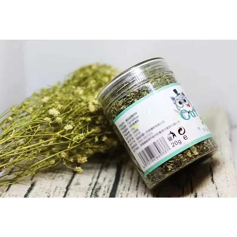 Catnip Toy Natural Organic Interactive Fun