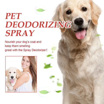 Natural Pet Deodorant Spray for Odor Control