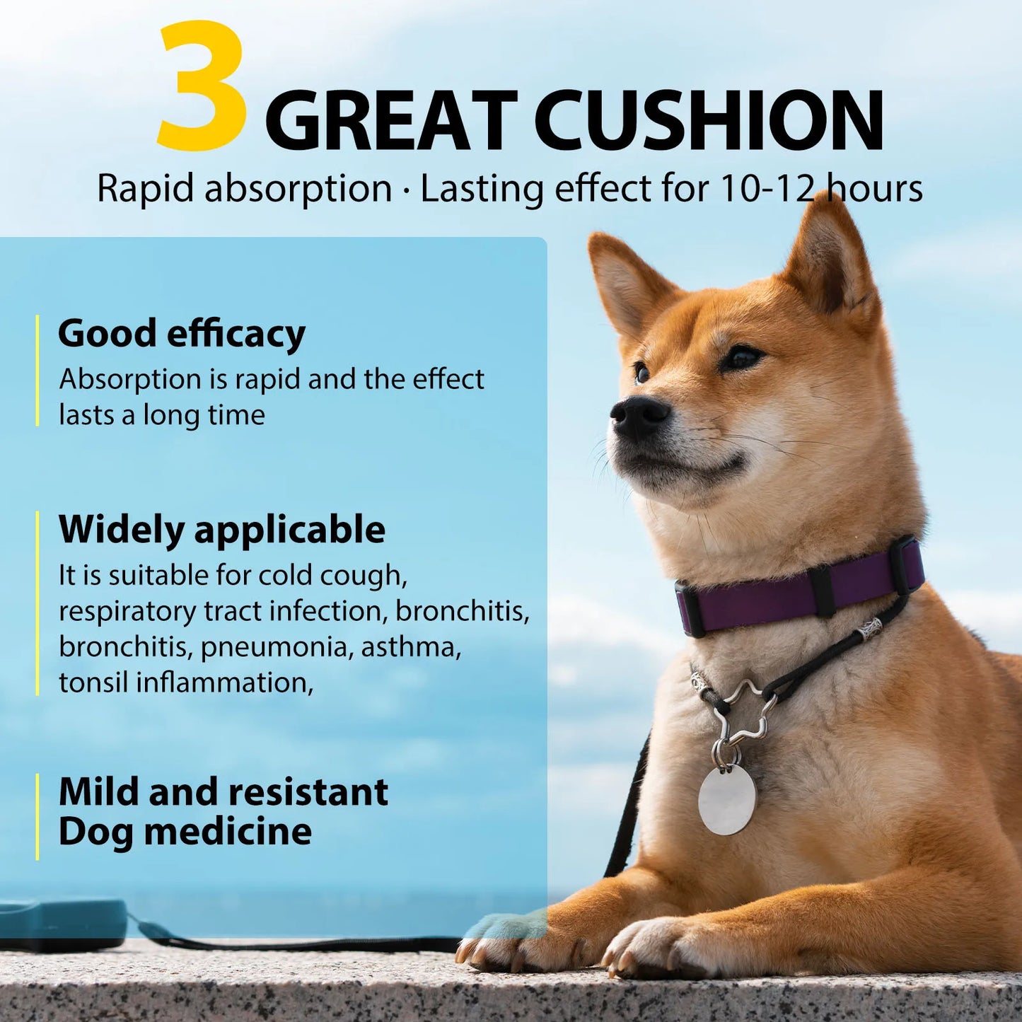 Natural Kennel Cough Relief Drops