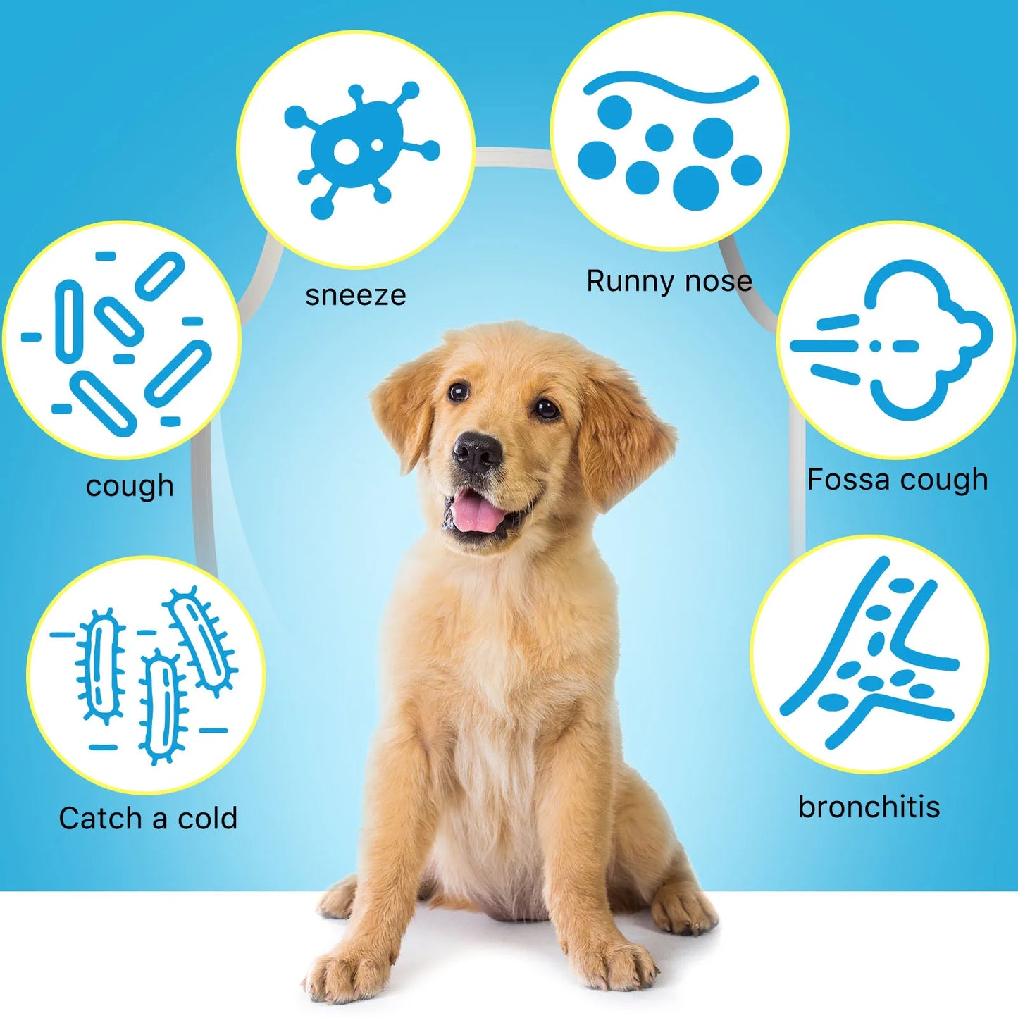 Natural Kennel Cough Relief Drops