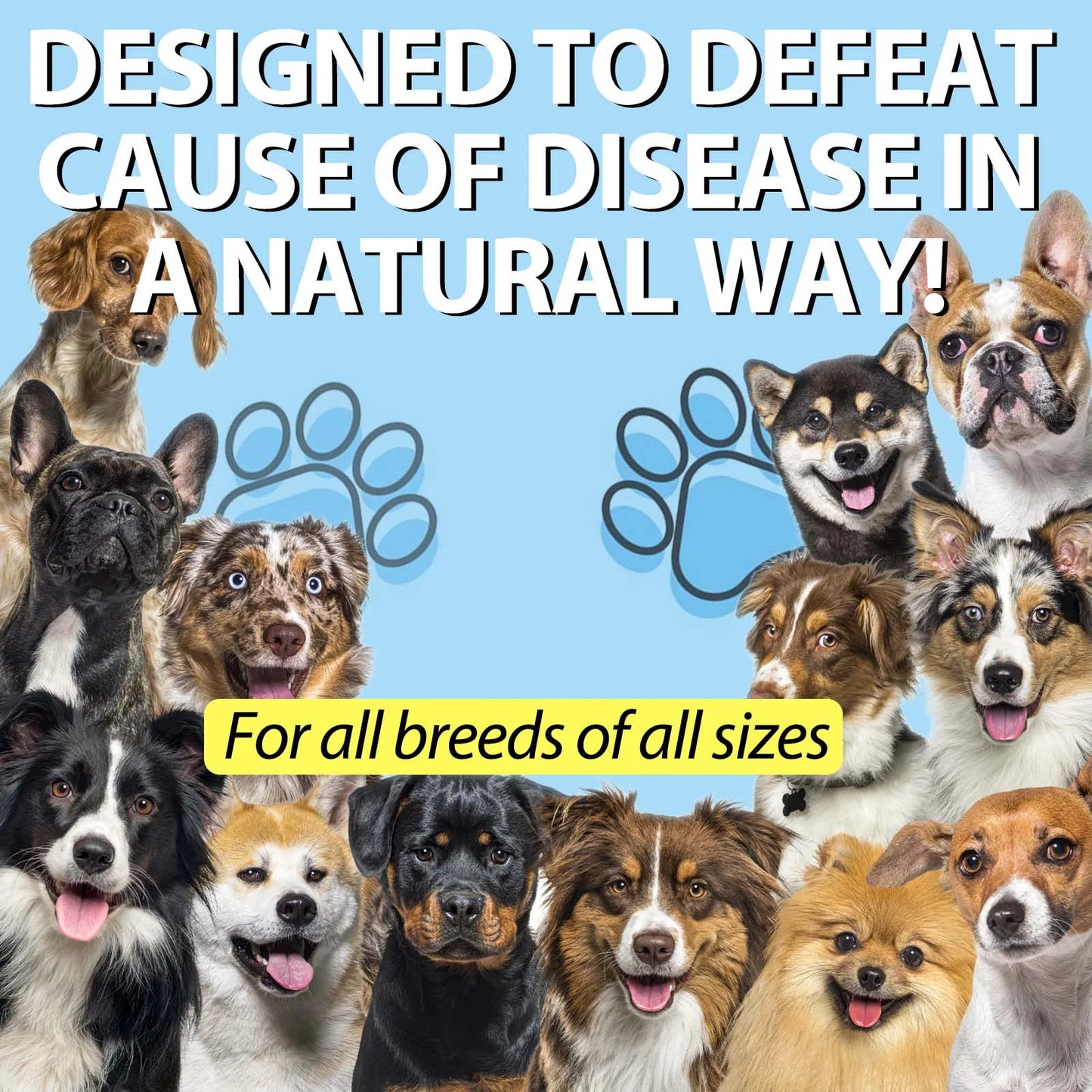 Natural Kennel Cough Relief Drops