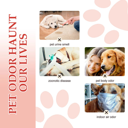 Natural Pet Deodorant Spray for Odor Control