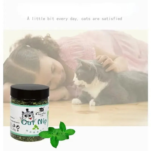 Catnip Toy Natural Organic Interactive Fun