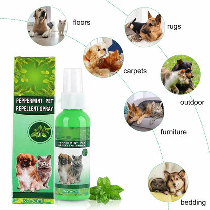 Pet Care Flea Spray with Natural Oils