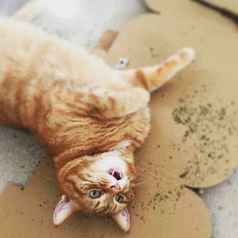 Organic Cat Toy Natural Mint Flavor