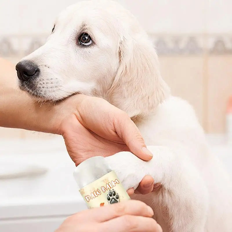 Dog Paw Balm with Natural Moisturizer