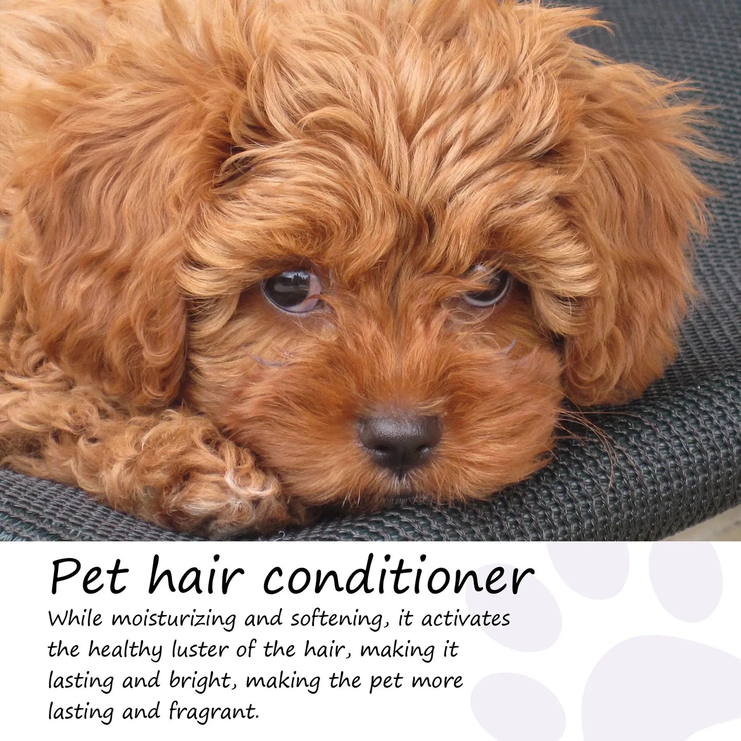 Pet Hair Conditioner Natural Softening Formula