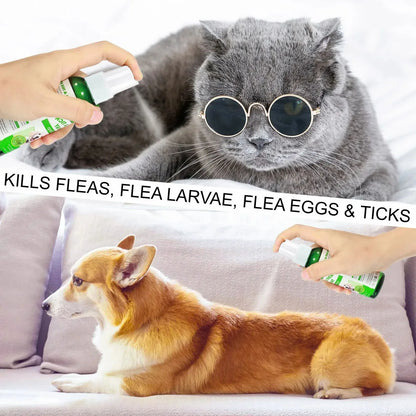 Pet Care Flea Spray with Natural Oils