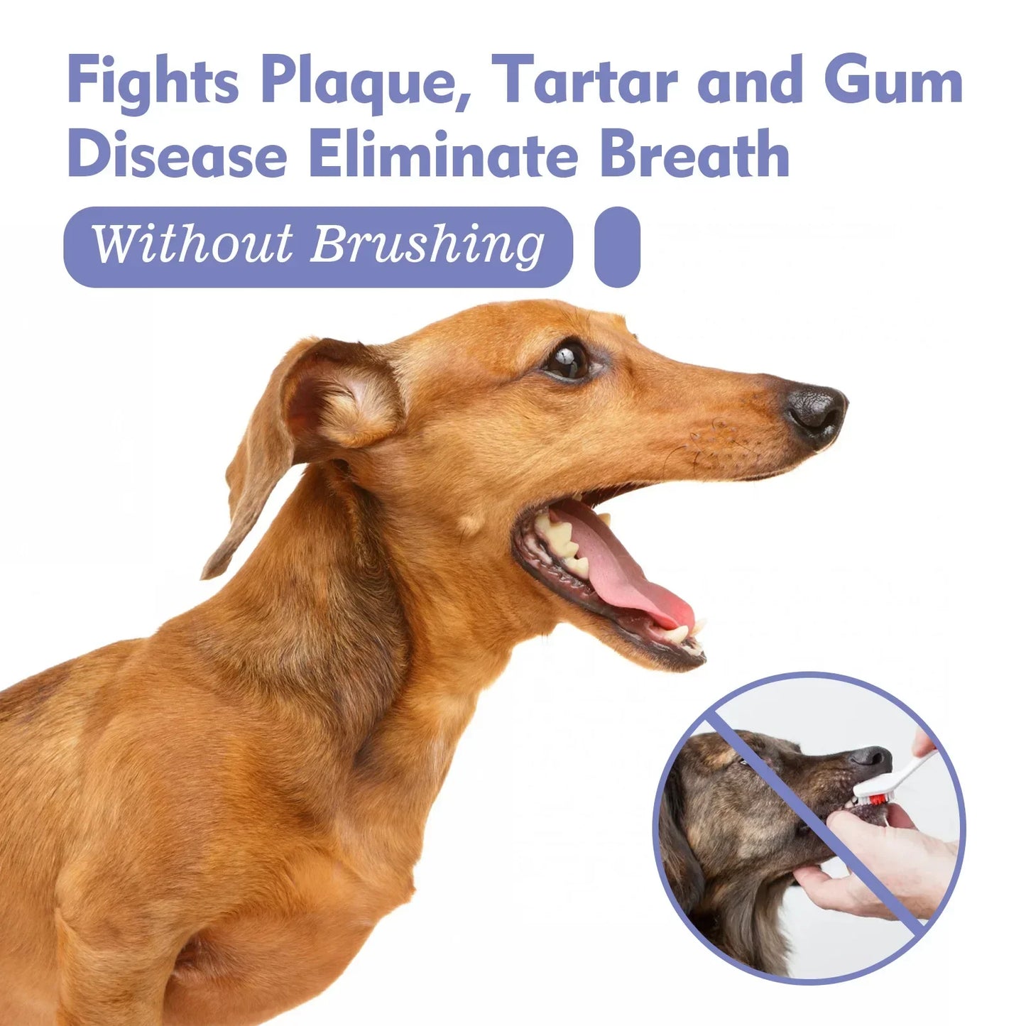 Pet Tooth Cleaning Spray Natural Fresh