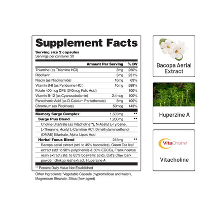 Brain Supplement for Clarity and Energy