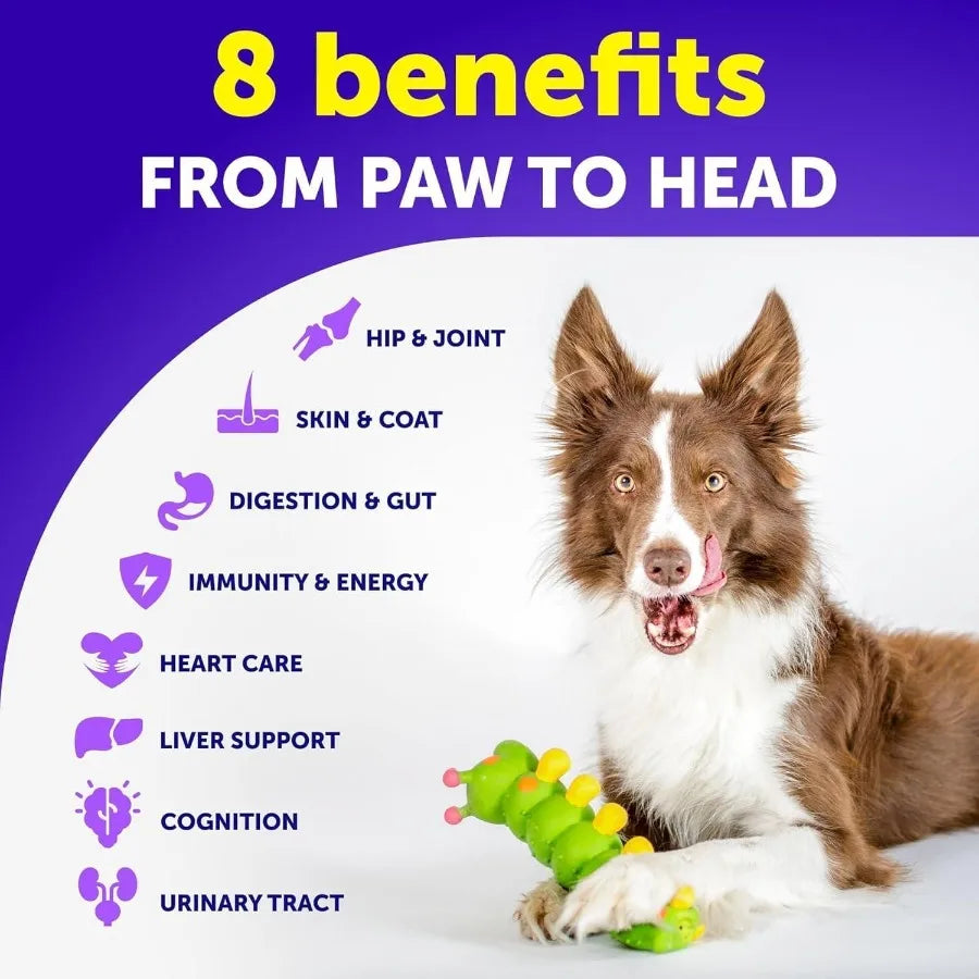 Natural Dog Multivitamin Joint Supplement