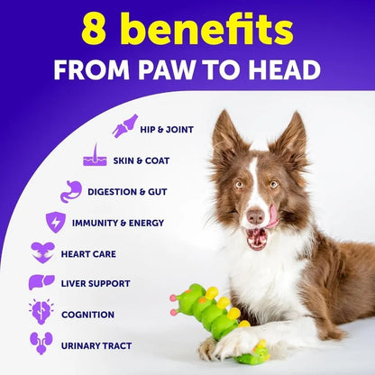 Natural Dog Multivitamin Joint Supplement