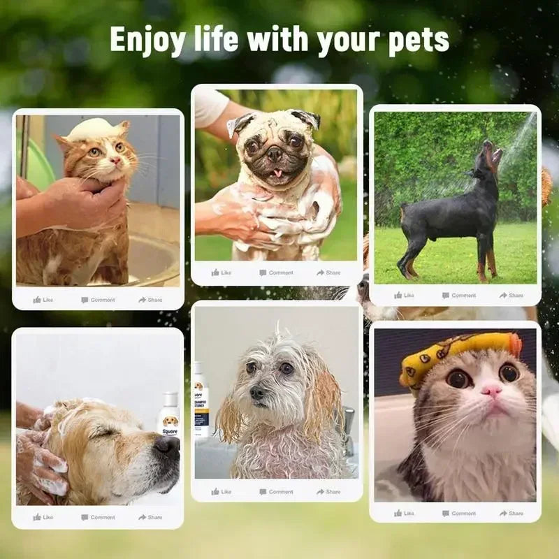 Dog Shampoo Natural Moisturizing Sensitive Skin