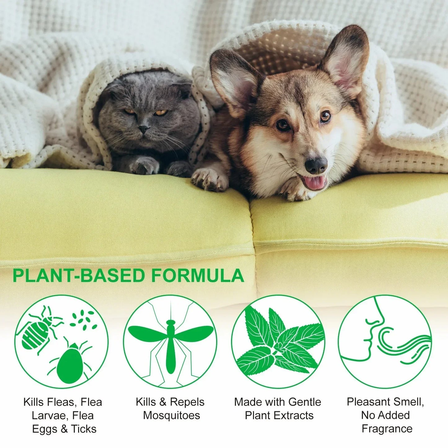 Pet Care Flea Spray with Natural Oils