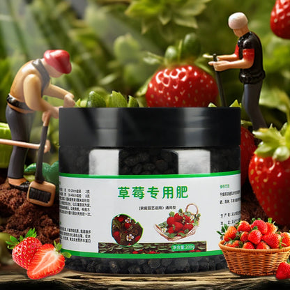 Strawberry Organic Household Fertilizer Solution