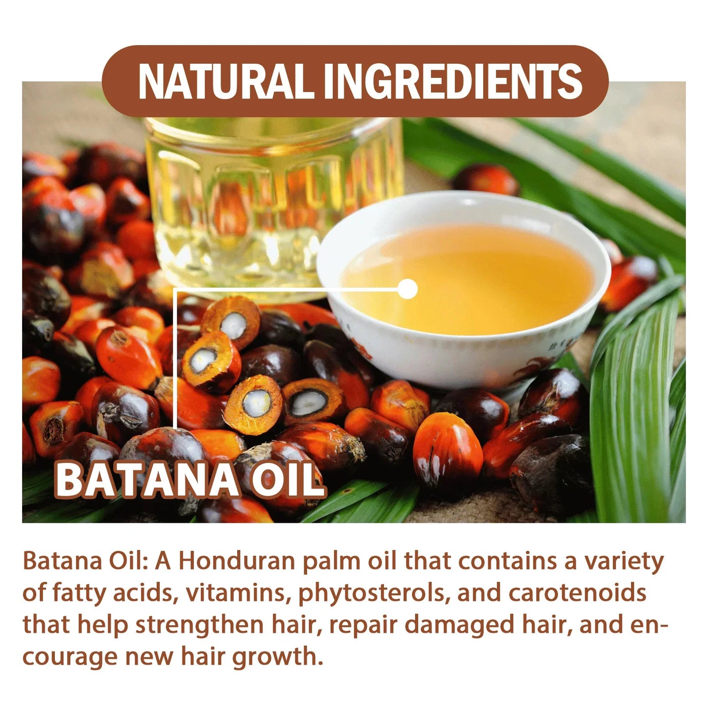 Natural Hair Care Batana Oil Repair