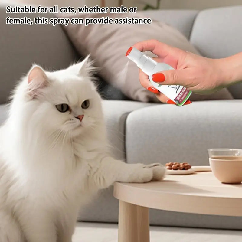 Natural Cat Calming Pheromone Spray