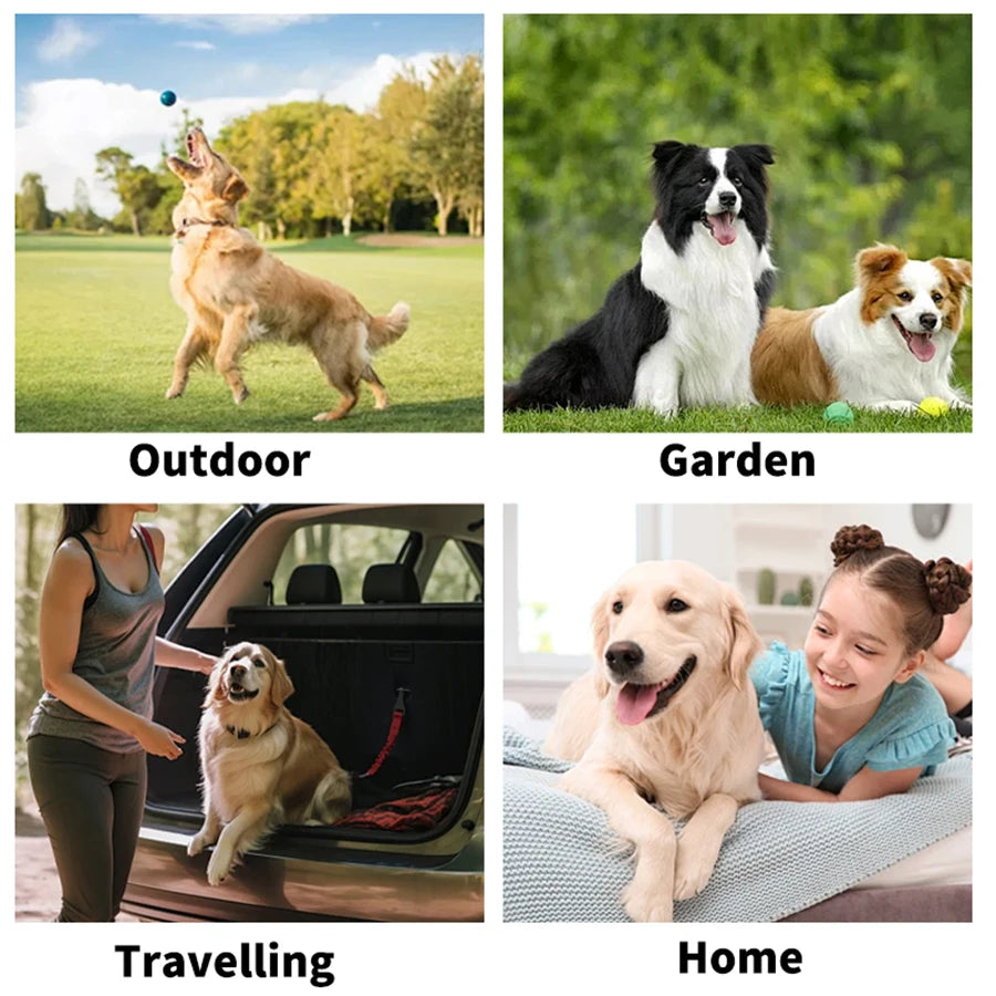 Pet Grooming Wipes Natural Deodorizing