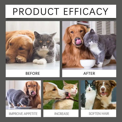 Natural Pet Probiotic Digestive Supplement