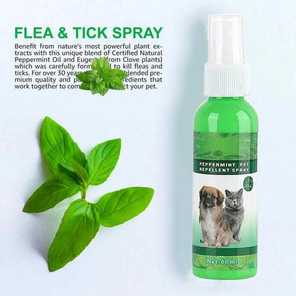 Pet Care Flea Spray with Natural Oils