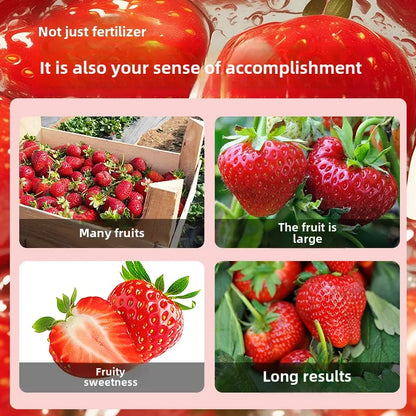 Strawberry Organic Household Fertilizer Solution