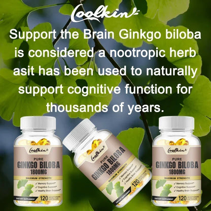 Organic Ginkgo Leaf Brain Supplement