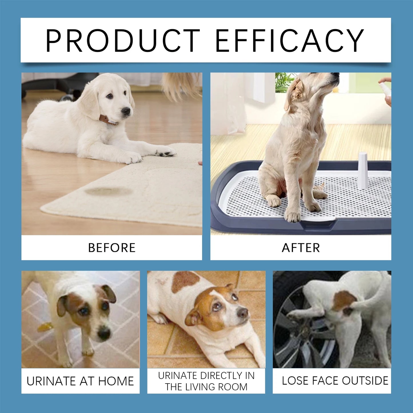 Pet Potty Training Spray Organic