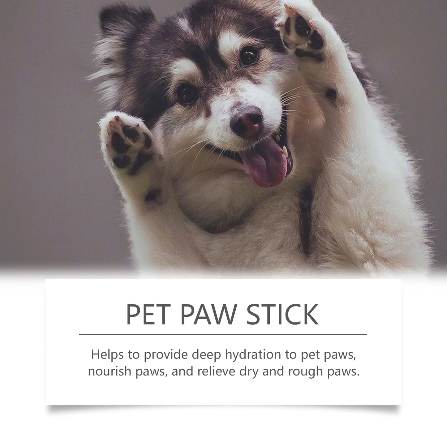 Moisturizing Pet Paw Balm Natural Formula