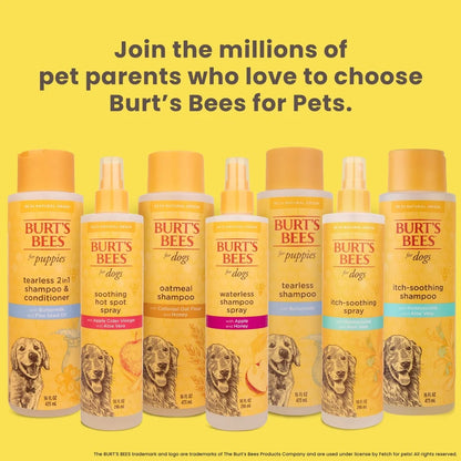 Natural Dog Shampoo and Conditioner
