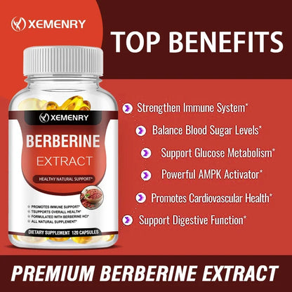 Berberine Vitamin Supplement for Glucose Support