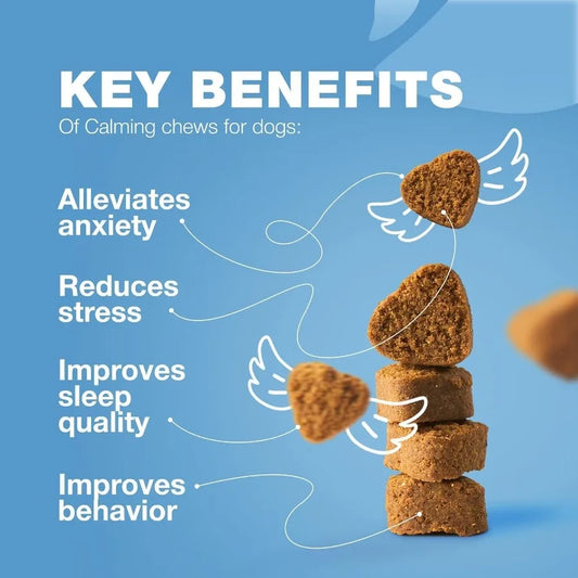 Natural Dog Calming Treats with Melatonin