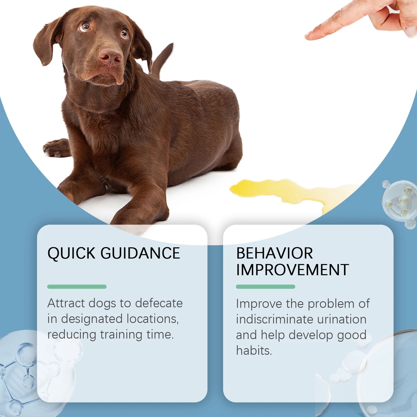 Pet Potty Training Spray Organic