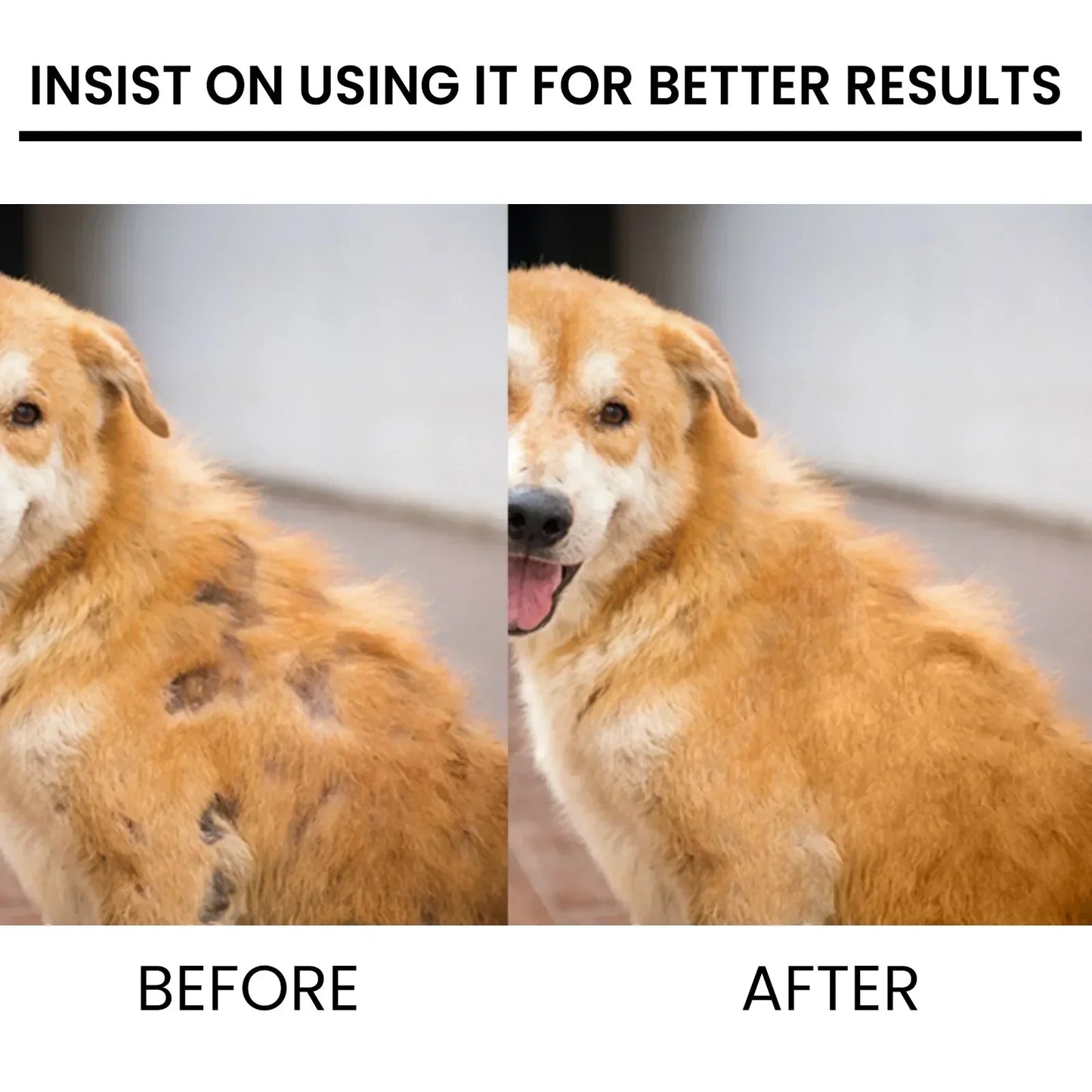 Natural Pet Hair Growth Treatment