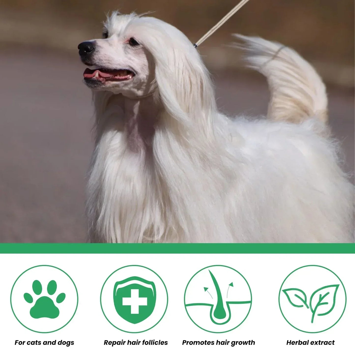 Natural Pet Hair Growth Treatment