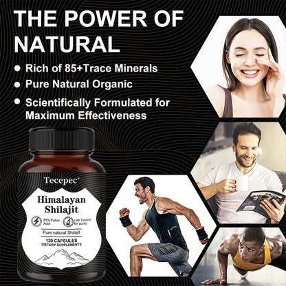 Natural Himalayan Shilajit Energy Capsules