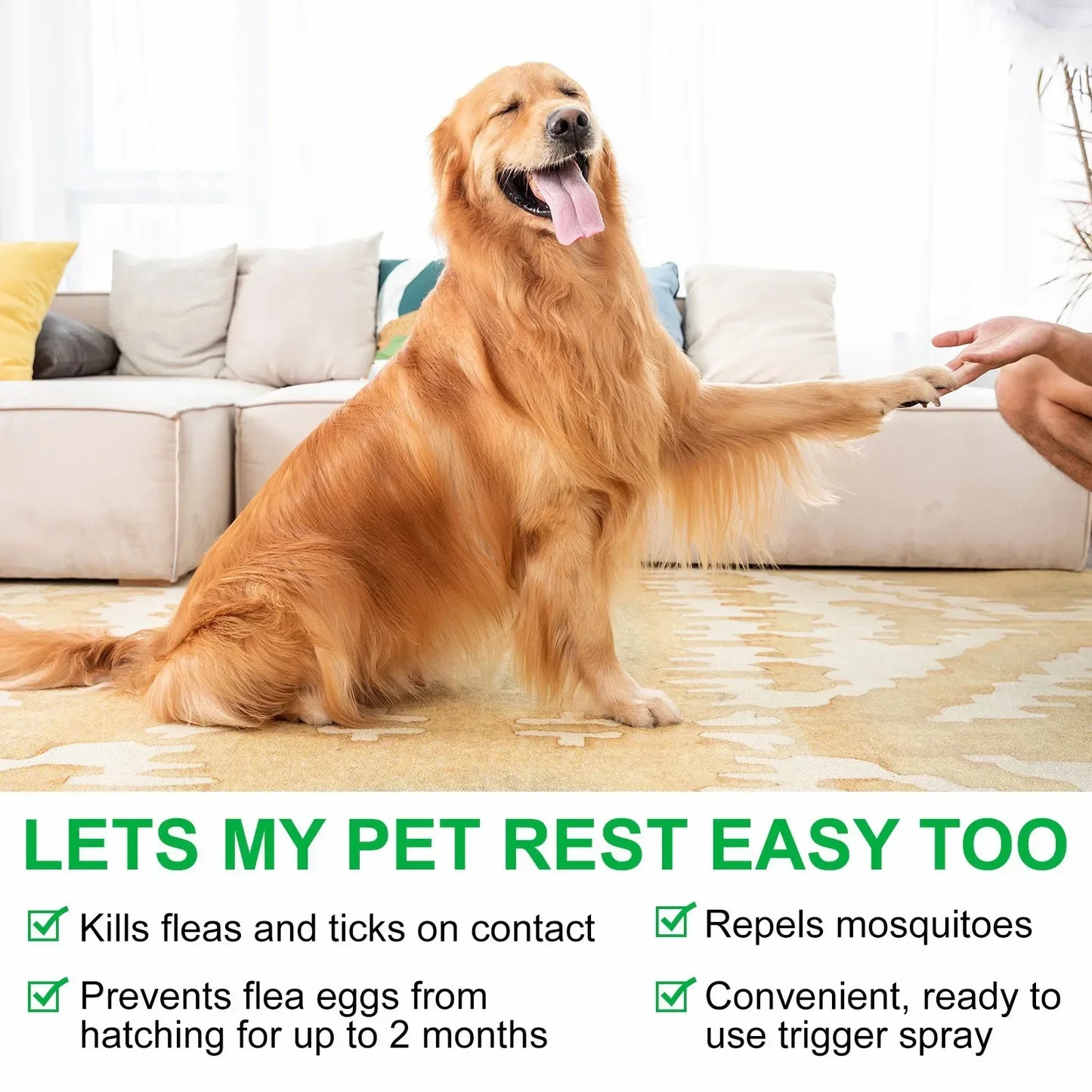 Pet Care Flea Spray with Natural Oils