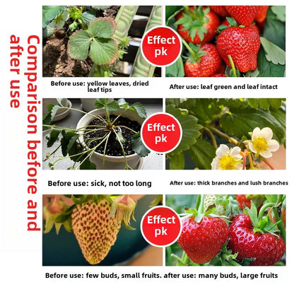 Strawberry Organic Household Fertilizer Solution