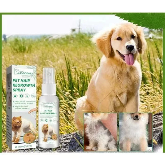 Natural Pet Hair Growth Treatment