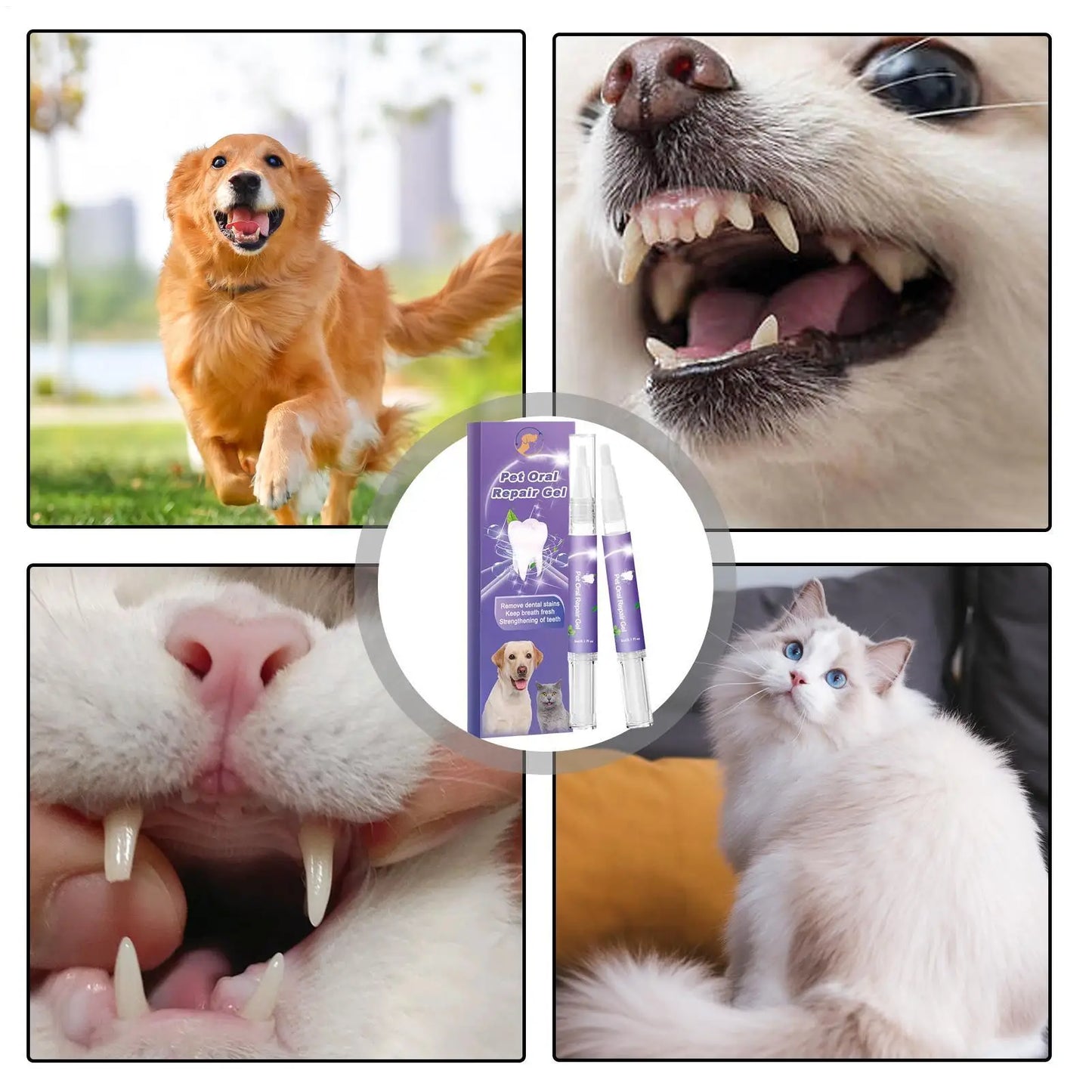 “Natural Pet Toothpaste Gel for Dogs
