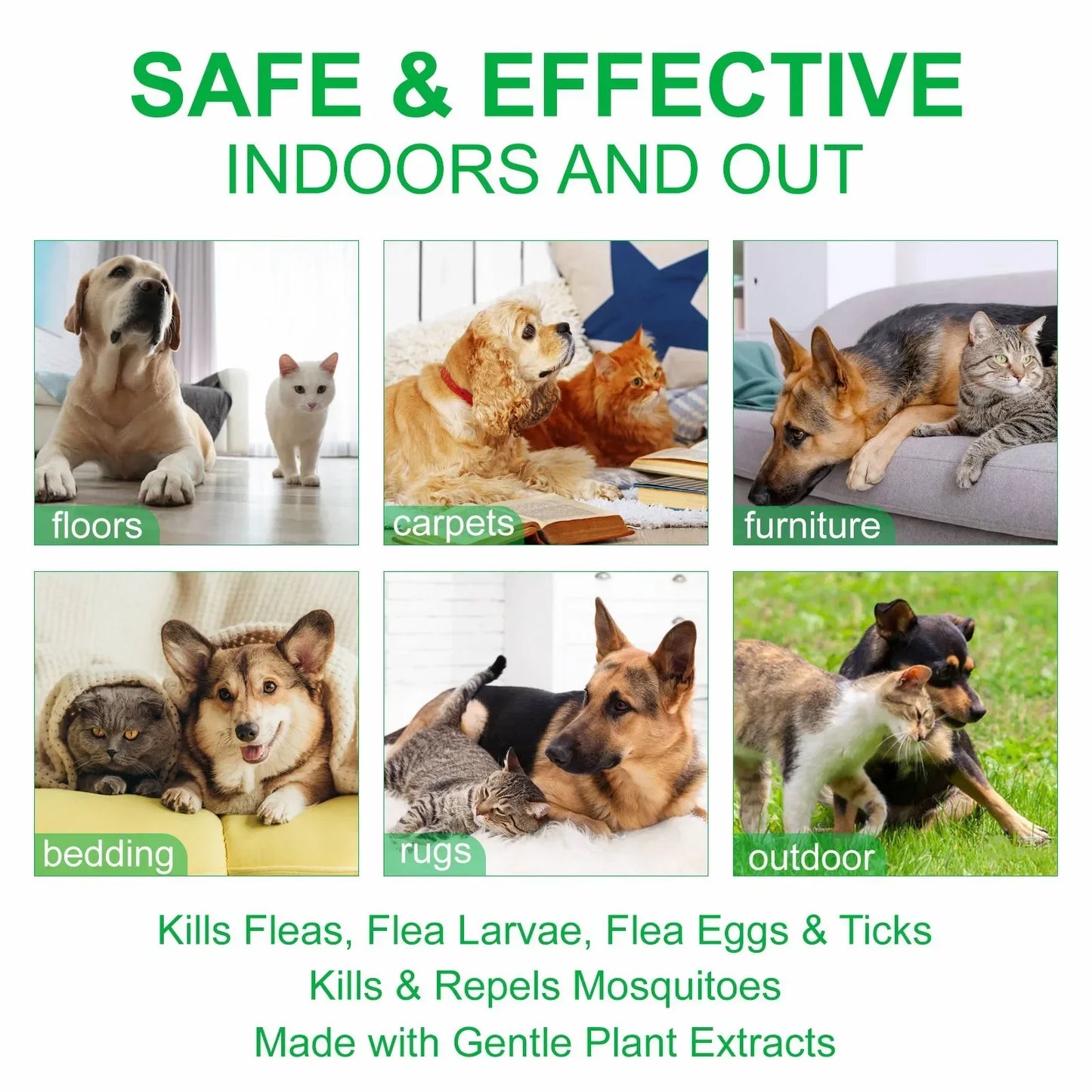 Pet Care Flea Spray with Natural Oils