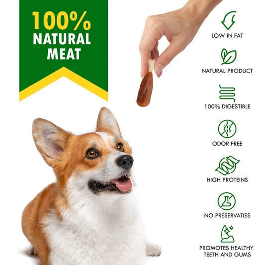 Dog Rawhide Free Chews Natural Snacks