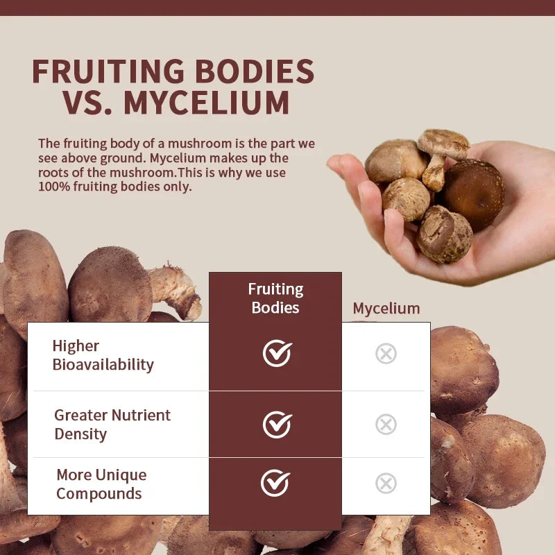 Reishi Mushroom Heart Brain Capsules
