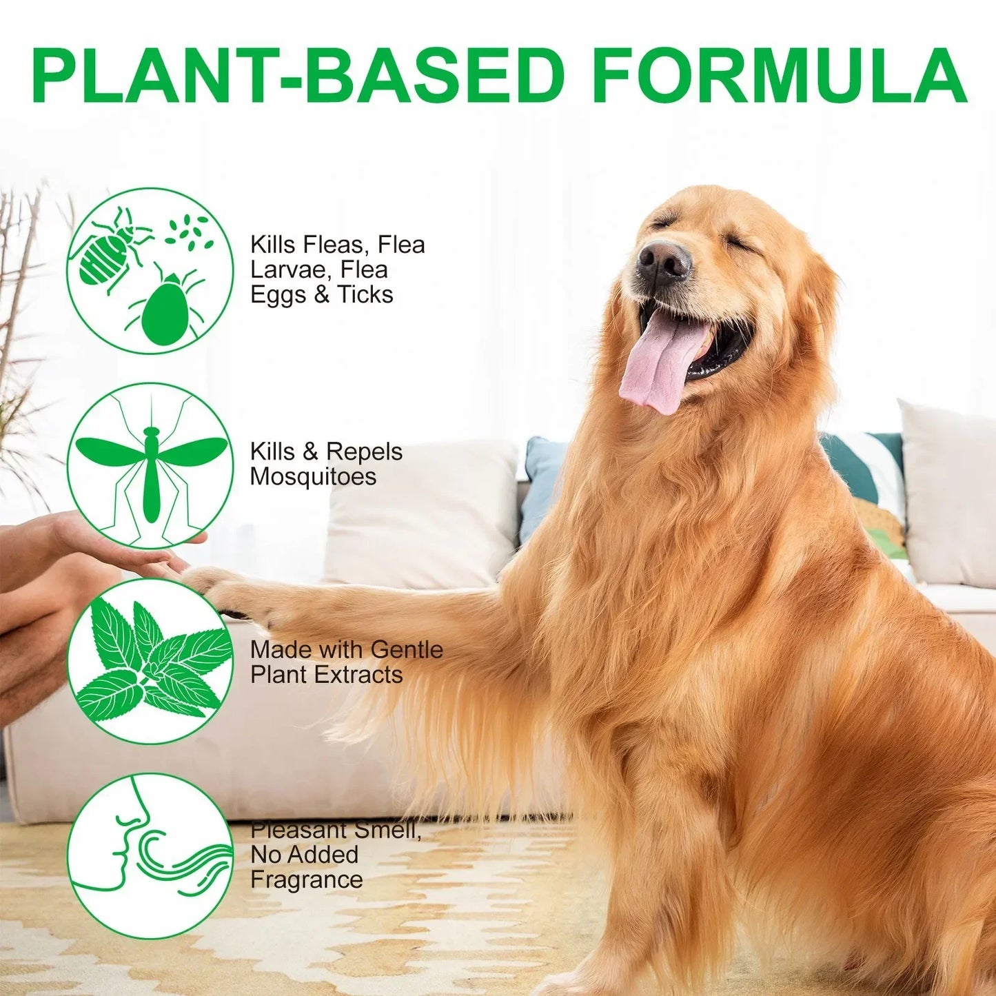 Pet Care Flea Spray with Natural Oils