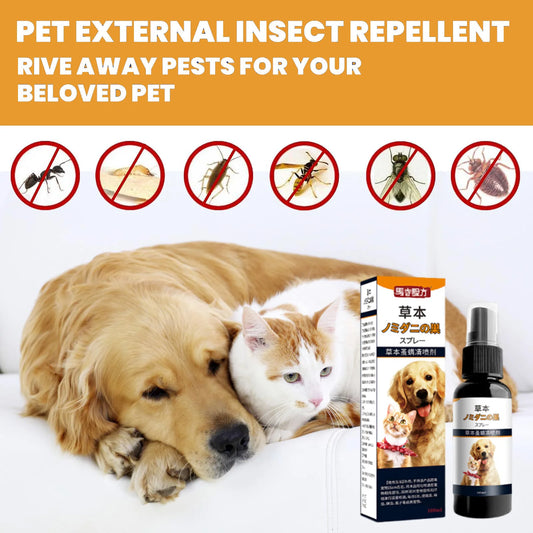 Natural Pet Flea Tick Spray