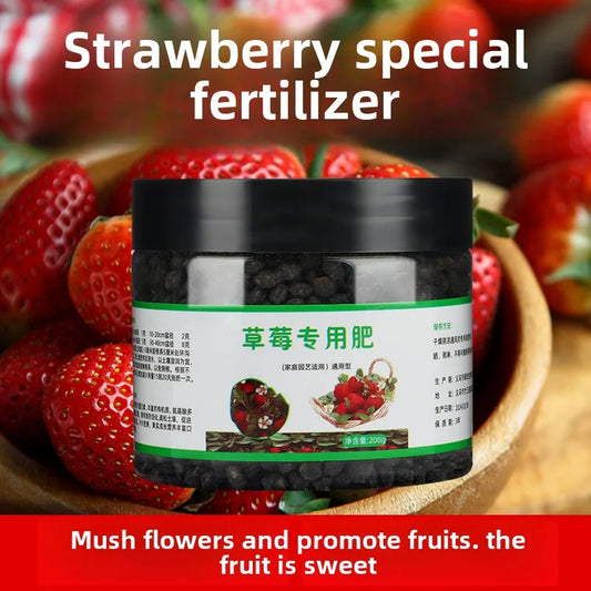 Strawberry Organic Household Fertilizer Solution