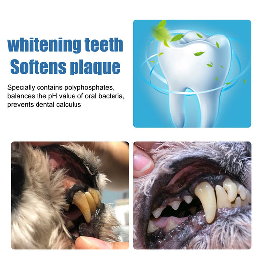 Natural Pet Dental Care Foam